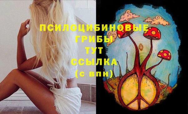 прущие крисы Ладушкин