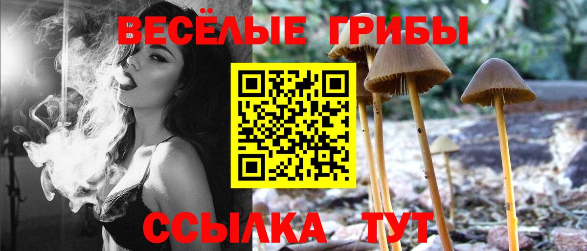 Галлюциногенные грибы прущие грибы Южно-Сахалинск